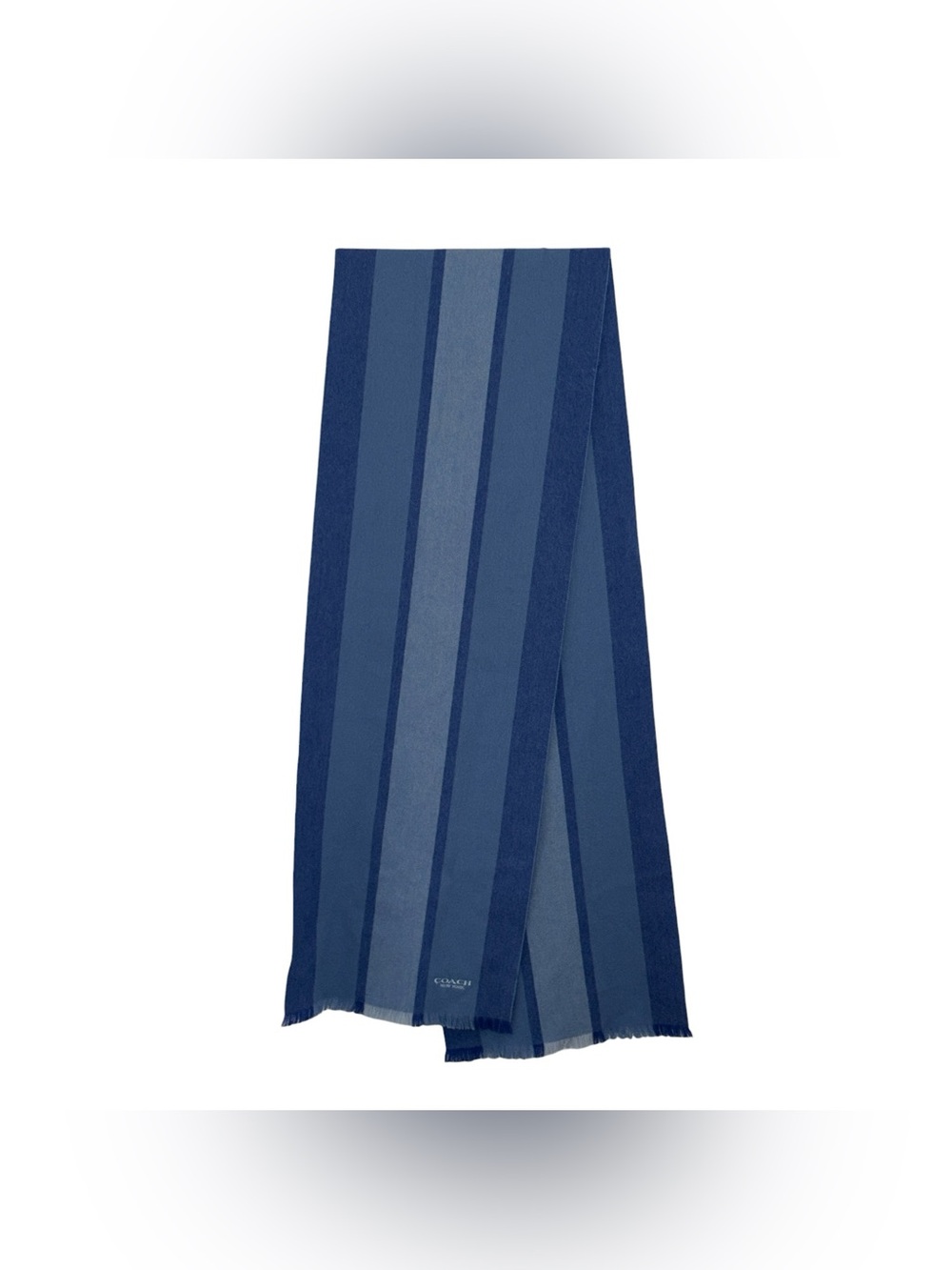 Coach New York Varsity Sport Scarf F76059 Blue Striped Unisex Men Women 79"x 12"